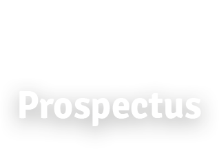 Prospectus Icon